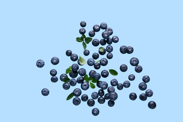 Flying sweet fresh blueberries and leaves on blue background