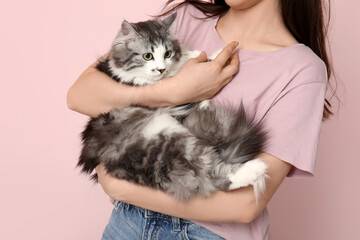 Young woman holding cute longhaired cat on pink background