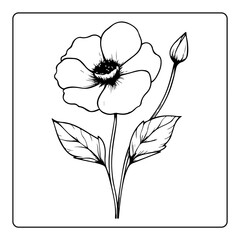 Obraz premium Handdrawn poppy flower illustration with bud and leaves