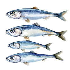 A minimal yet artistic elements for creative designs. hand-drawn paint, Simple Illustration, A beautiful painting of anchovy fish, EPS format, isolated on a white background, Painting set