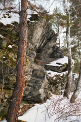 Rocky cliff covered with patches of snow surrounded by pine and birch trees, exposed roots and moss visible on rocks, winter forest landscape with rugged terrain and natural vegetation