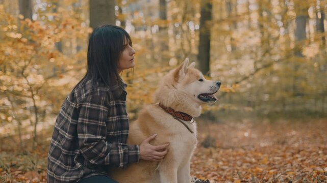 young woman walking and playing with her japanese akita puppy in autumn forest