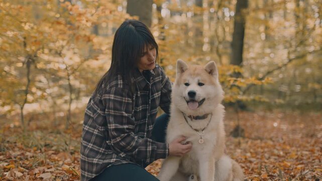 young woman walking and playing with her japanese akita puppy in autumn forest