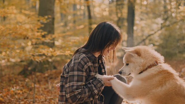 young woman walking and playing with her japanese akita puppy in autumn forest