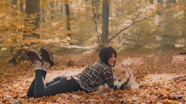 young woman walking and playing with her japanese akita puppy in autumn forest