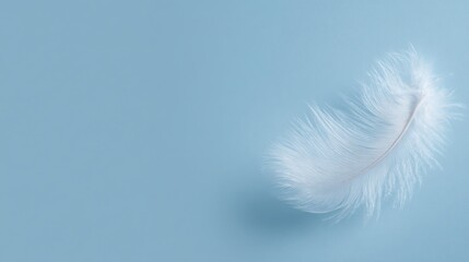 Pastel blue background with delicate white feather, gentle light, airiness and calm mood, plain minimal design, space