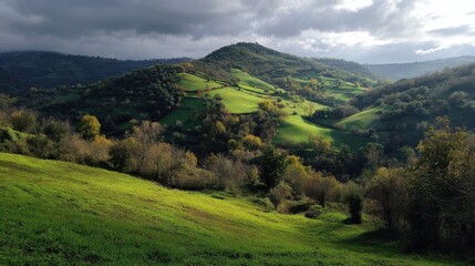 Obraz premium Lush landscape in Umbria close to Orvieto Italy