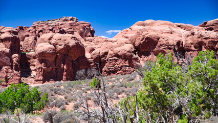 Fototapeta premium Arches National Park in summer season with red sandstone formations and clear blue sky in Utah