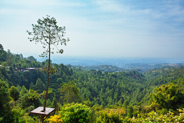 Scenic view from tall tree platform in Batu Flower Garden, Batu, East Java. With tropical forest, this panoramic spot is popular destination for family travel, Instagrammable landscapes in Indonesia.