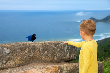 Curious child meets wild birds on a scenic cliff by the ocean. Magical moment of travel and exploration, surrounded by nature, freedom, and tropical landscape. Authentic encounter during family advent