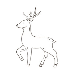 Deer walking gracefully in a natural setting during daylight hours