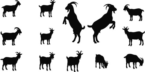 Goat silhouette, grazing pose, standing animal, rearing goat, wild livestock, black vector, nature icon, farm creature, flat illustration, design