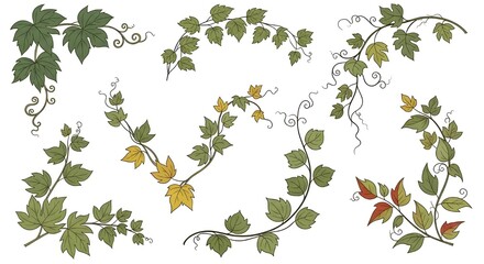Collection of decorative vine corner elements