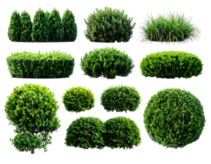 Diverse collection of meticulously cut and vibrant green plant shapes on a black backdrop