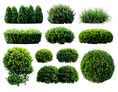 Diverse collection of meticulously cut and vibrant green plant shapes on a black backdrop