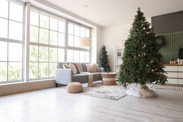Interior of modern living room with grey sofa, Christmas trees and festive decorations