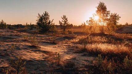 Sandy plains with sparse trees and verdant bushes beneath a warm dawn sky