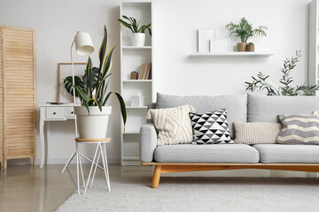 Interior of light living room with grey sofa, plants and shelf unit