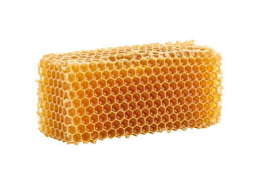 Isolated natural golden beeswax honeycomb structure, beautiful beehive wax for bee honey