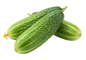 Isolated fresh green cucumbers from the garden, healthy vegetables for diet and salads