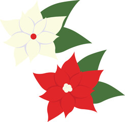 Pair of poinsettia flowers.bold red and soft white with green leaves. Minimal flat vector on white, perfect for Christmas elements floral accents, invitations, packaging