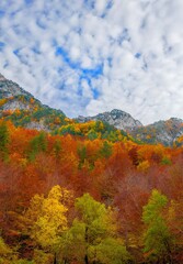 National Park of Abruzzo, Lazio and Molise (Italy) - The autumn with foliage in the mountain natural reserve, with Scanno lake, Camosciara and Villetta Barrea landmark.
