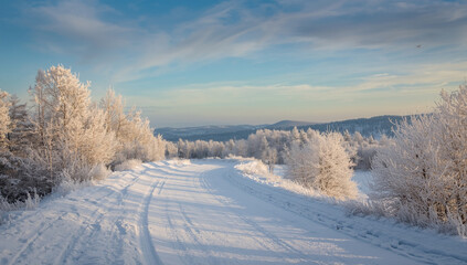 Serene snowy path winding through a winter landscape of frosty trees with snow-covered branches