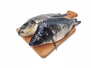 Fresh raw carp fish on wooden chopping board isolated on white background. High angle view 
