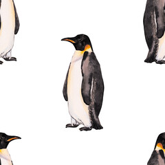 Emperor penguin. Seamless watercolor pattern with emperor penguins isolated on white. Realistic design with penguin for children illustration, backgrounds, packaging, decoration, banner