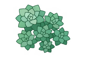 Succulent plants in top down view vector illustration