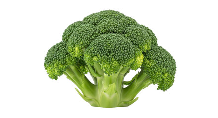Isolated single head of fresh green broccoli, healthy raw food, vibrant color, nutrient-rich, delicious