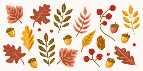 Obraz premium Collection of autumn leaves acorns and berries in warm earthy tones