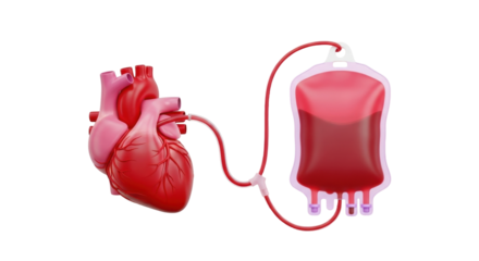 Isolated heart with blood bag connected by tubing, transfusion, red color, 3d rendering