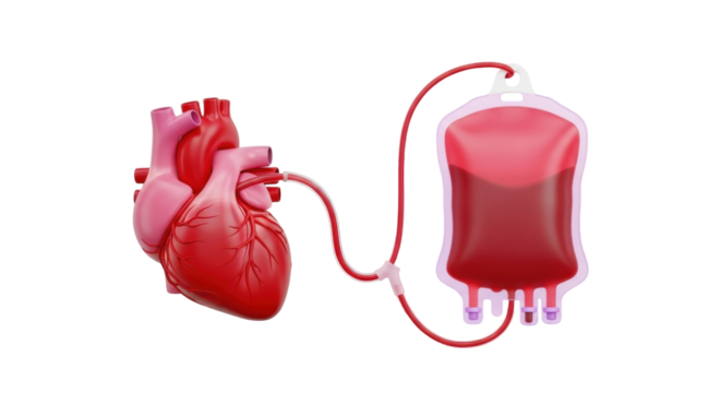 Isolated heart with blood bag connected by tubing, transfusion, red color, 3d rendering