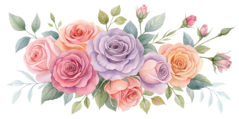 Rose watercolor bouquet with leaves isolated on transparent or white background. Flower png.