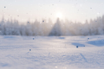 Winter scene with soft focus snowy field, forest background, falling blue snowflakes, and bright...