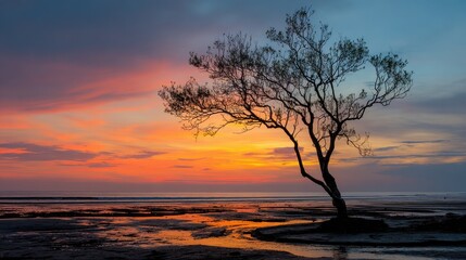 Bare tree silhouette at Majene beach during sunset A solitary leafless tree contrasts with a vivid orange and blue sky over a muddy shore Coastal atmosphere