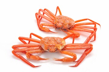 Fresh raw crabs as seafood