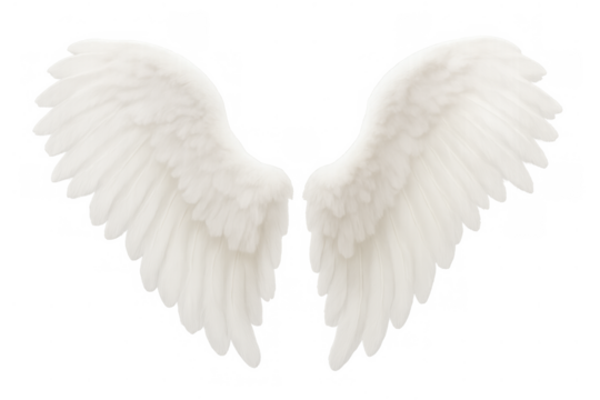 White angel wings creating a feeling of freedom, purity, and spiritual grace, with a transparent background