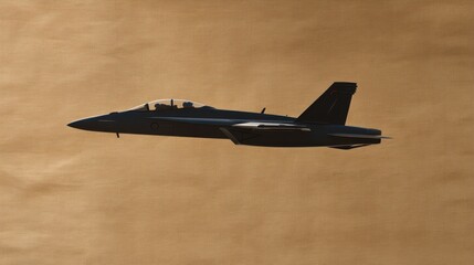 Detailed Aircraft Silhouette Diagram for Retrofitting Procedures and Standard Textures