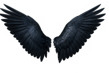 Black feathered demonic wings spread wide, realistic dark angel or raven bird wings, transparent background