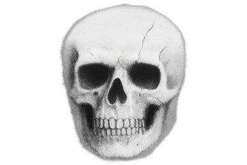 Obraz premium Human skull drawing illustrating death, memento mori, and anatomy, isolated on transparent background