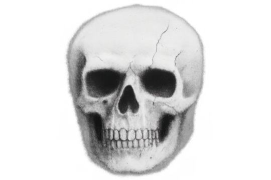 Human skull drawing illustrating death, memento mori, and anatomy, isolated on transparent background