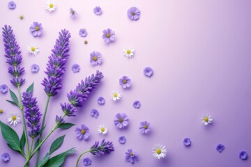 Lavender sprigs with small purple and white flowers on lilac