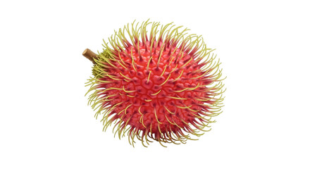 Isolated Rambutan fruit with green tips and bright red skin showing texture and detail