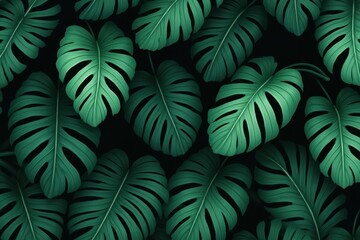 Lush tropical green monstera deliciosa leaves natural pattern