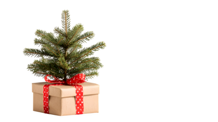 Classic Christmas gift box beneath a small fir tree isolated on white background