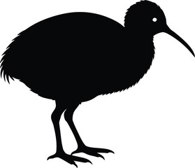 isolated Kiwi bird silhouette vector illustration