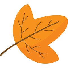 Autumn Leaf Isolated on White Background with a Transparent Overlay Vibrant Orange Maple Leaf with Detailed Veins and Stem Evokes Seasonal Change and Nature