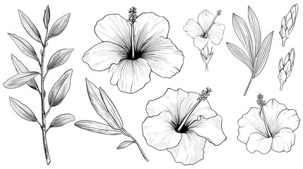 Hand drawn botanical illustrations feature various stages and elements of tropical flora